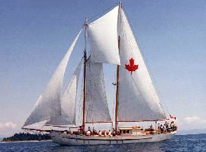 A beautiful, full color photograph of a sailing vessel, showing its square Fisherman's Staysail.
